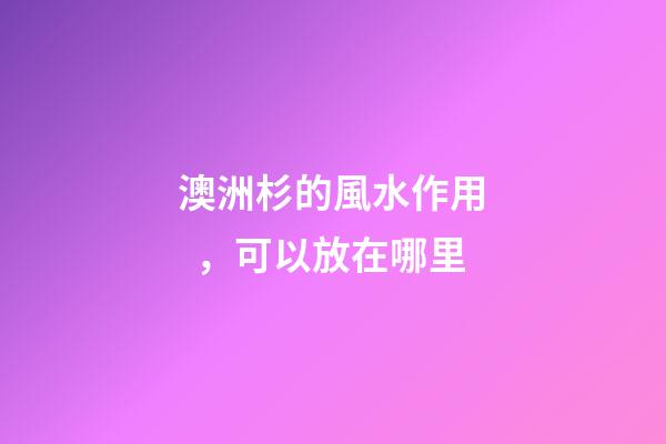澳洲杉的風水作用，可以放在哪里